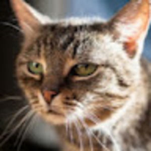 Meet your Posher, Ben